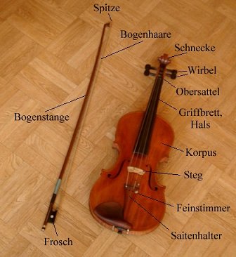 Teile einer Geige